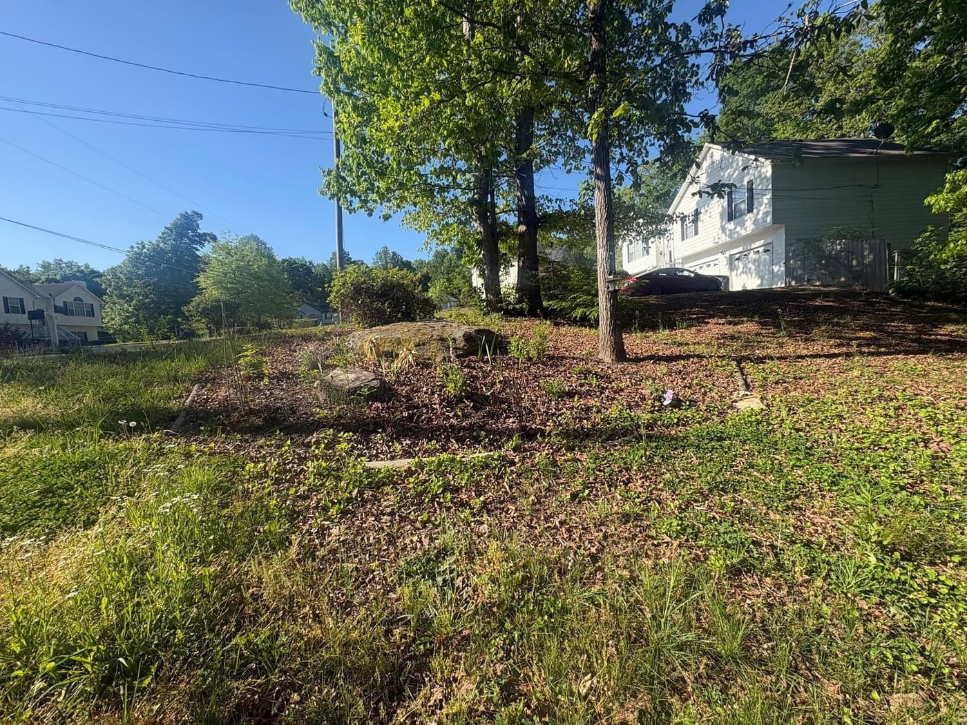 Before: an overgrown slope beside a driveway