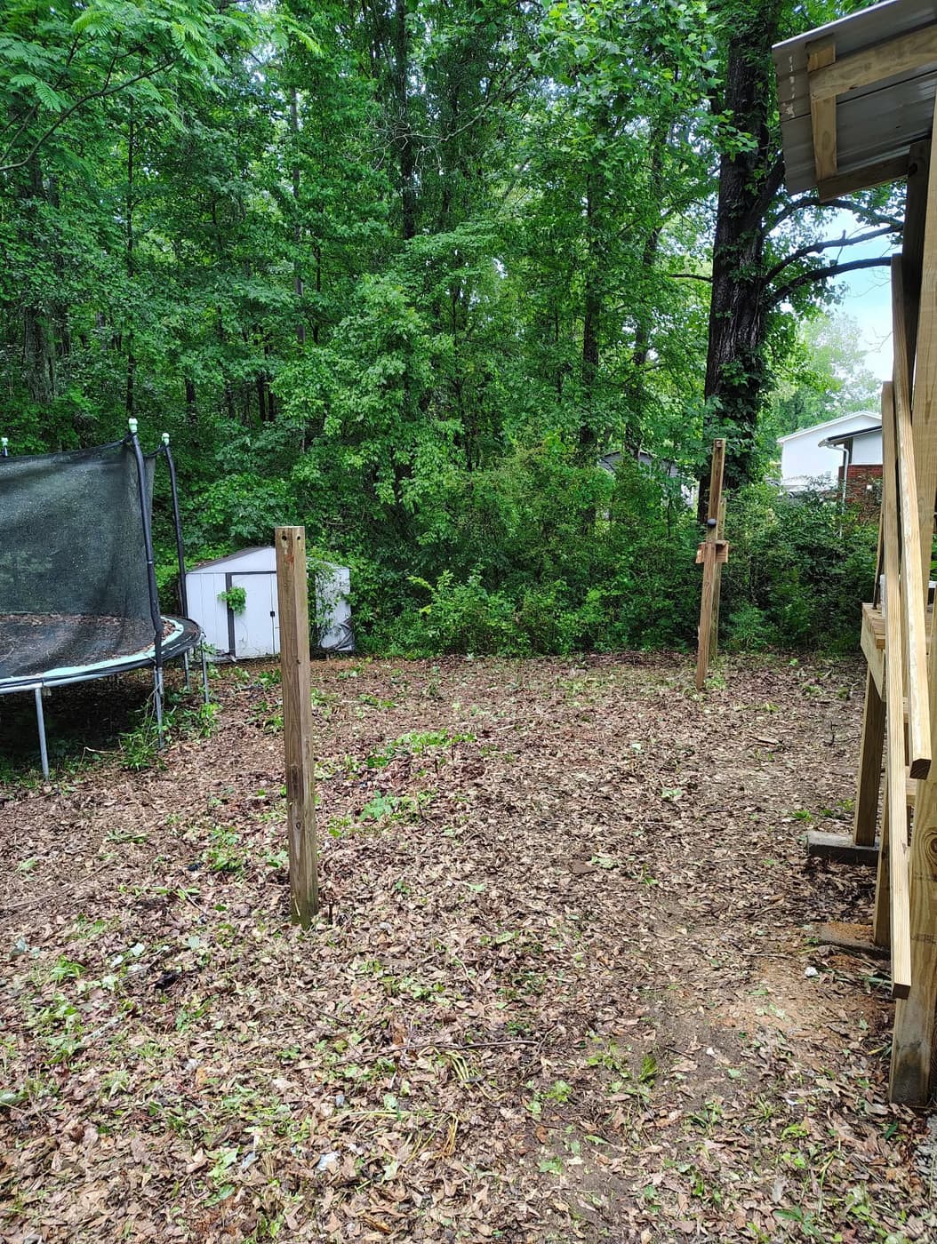 After: the same back yard cleared to the fence line