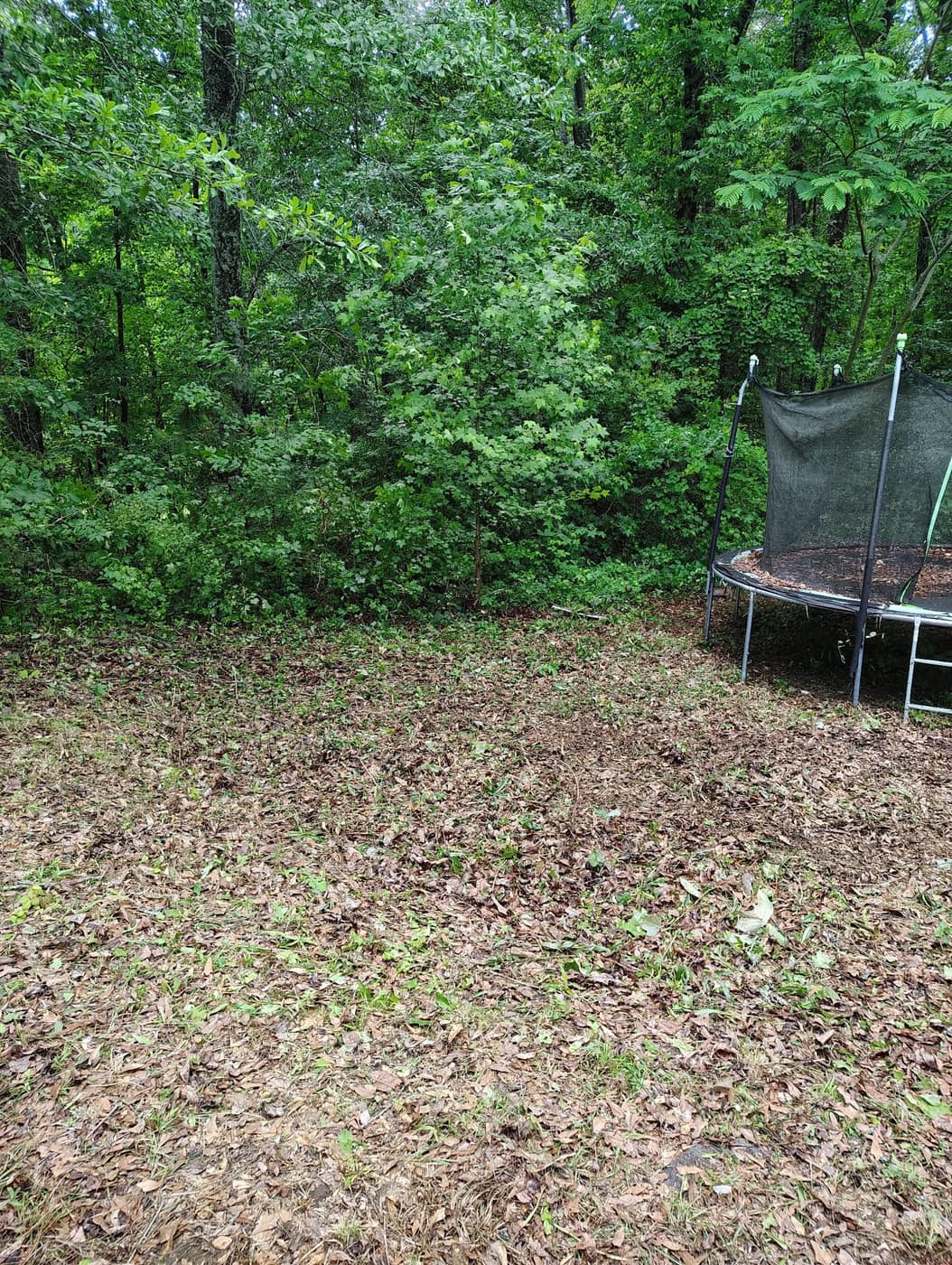 Back yard, after