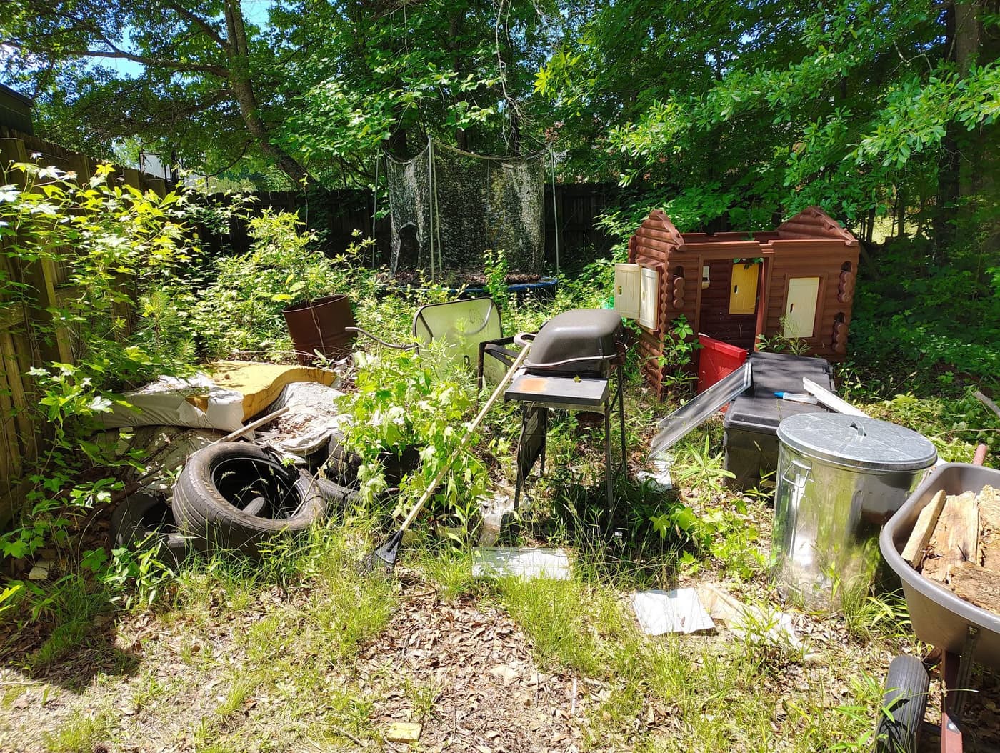 Back yard, before