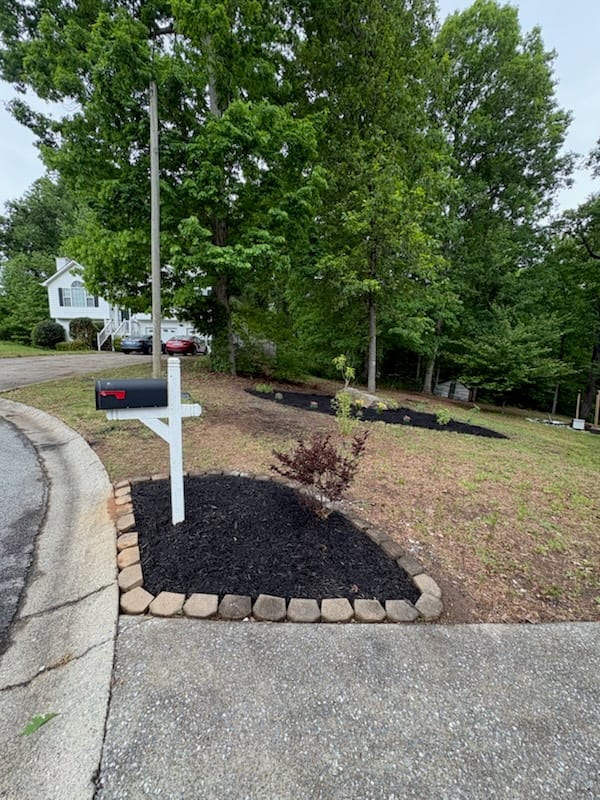A finished mailbox bed: stone border, fresh black mulch and a young maple planted in