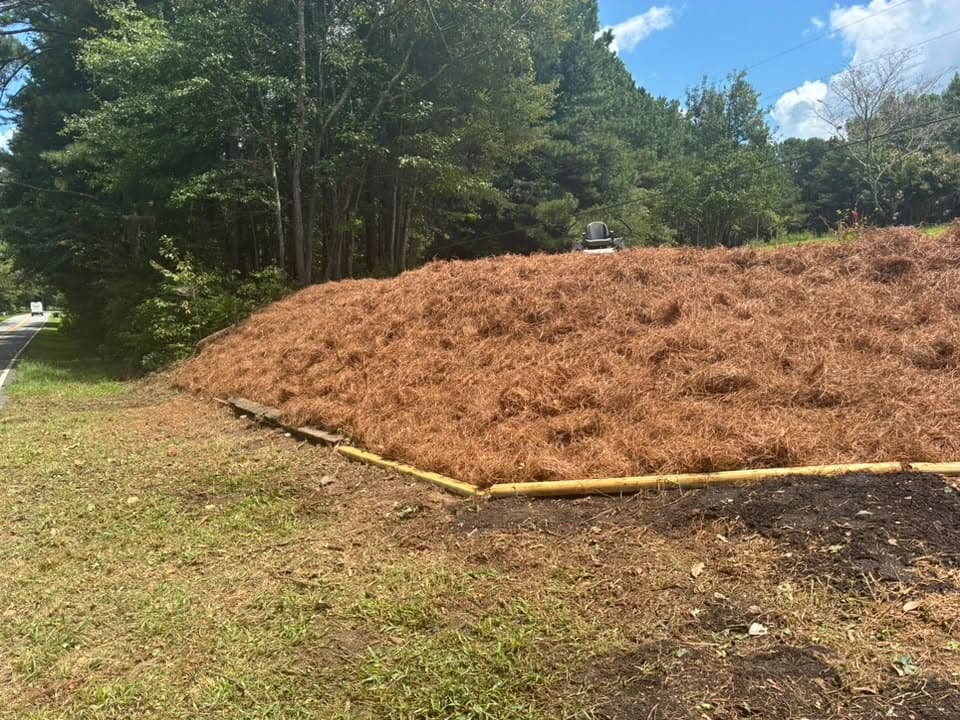 A bed of fresh pine straw laid out across a slope