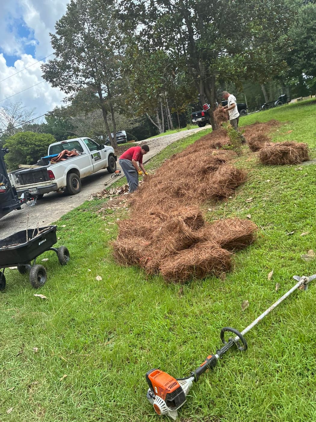 The Mason Worx crew spreading pine straw across a front lawn